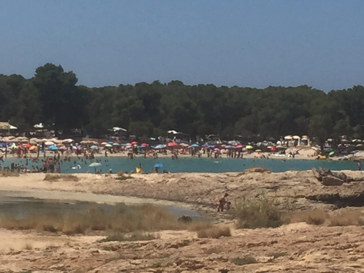 The Calla Bassas