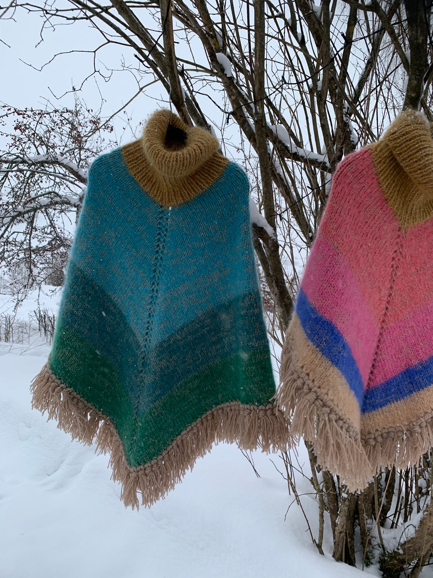 The Magic Woods - The Poncho