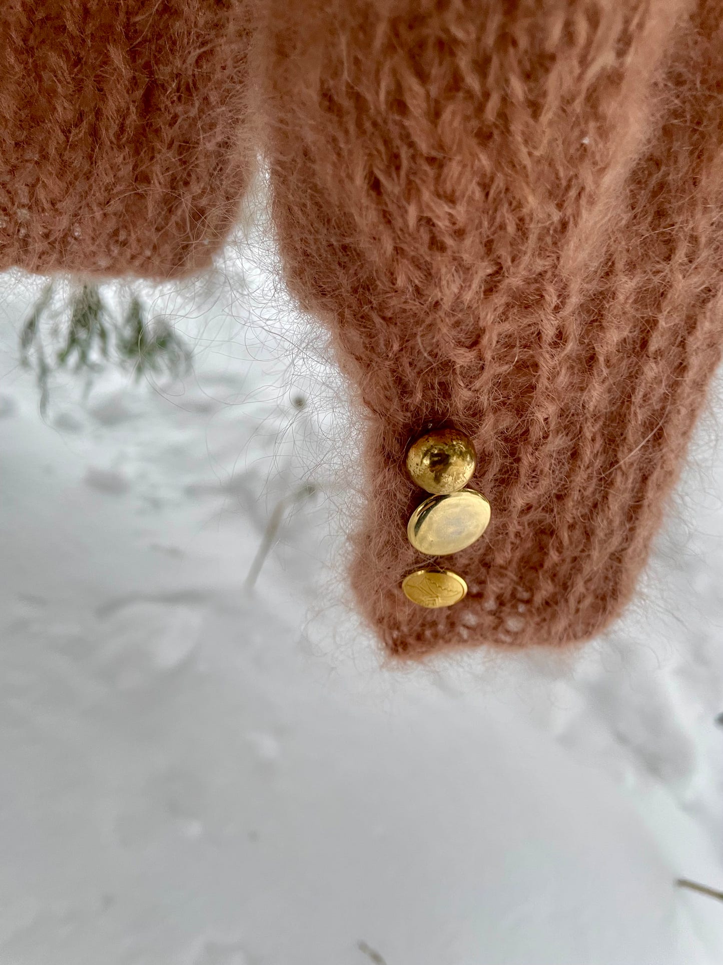 Rose - Arctic Snow Edt. collections