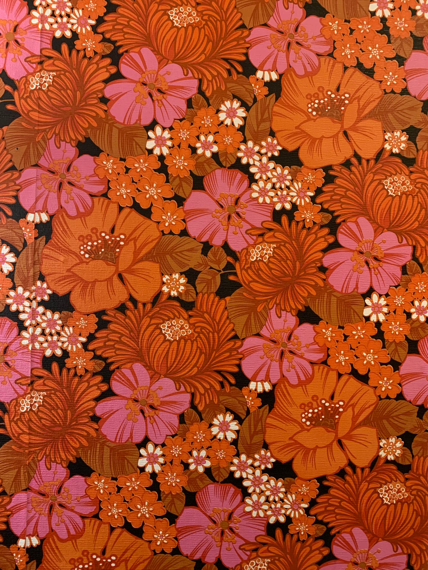 My Funky Pants - Knitting pattern