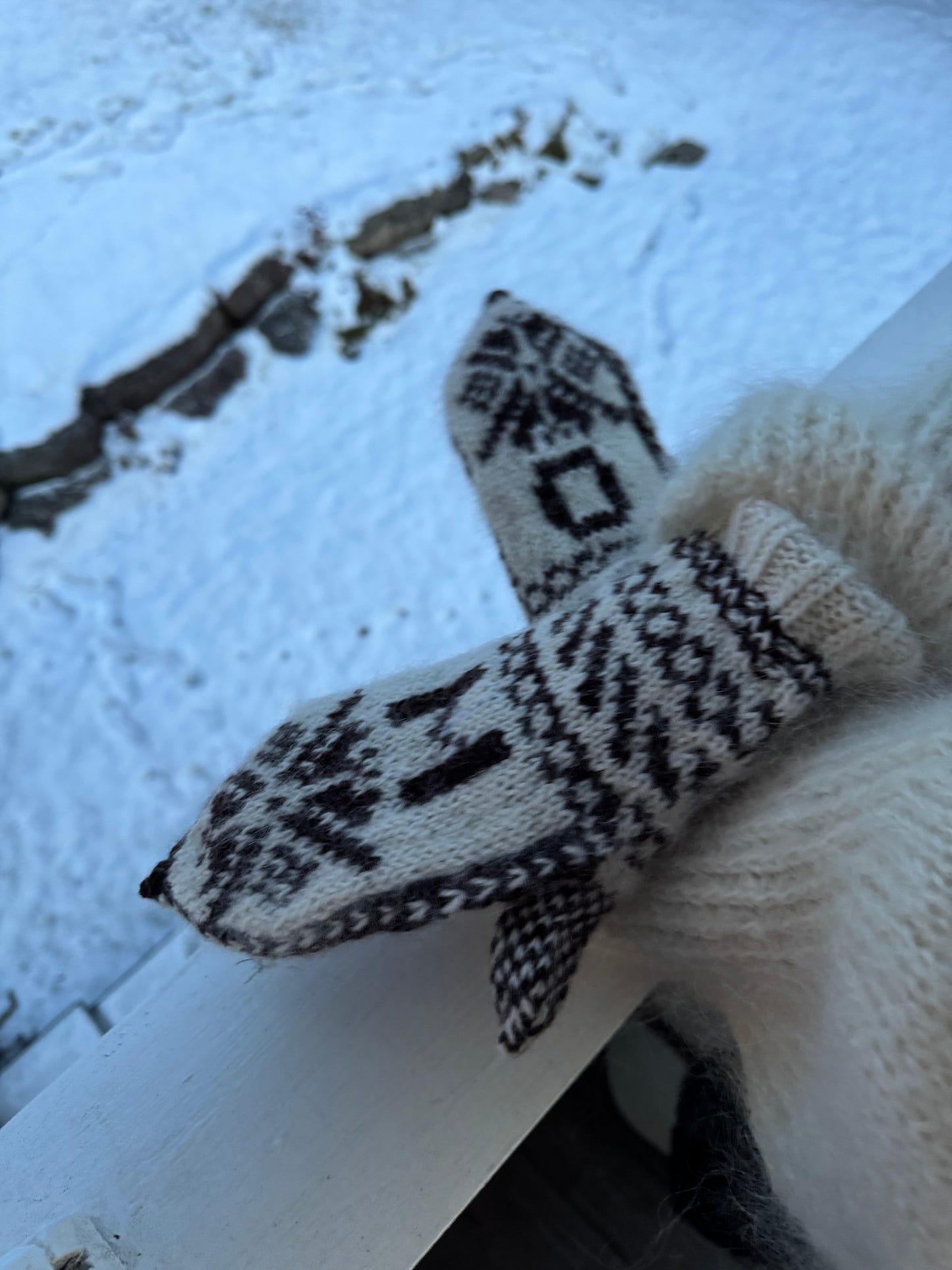 Skistar - The Mitten