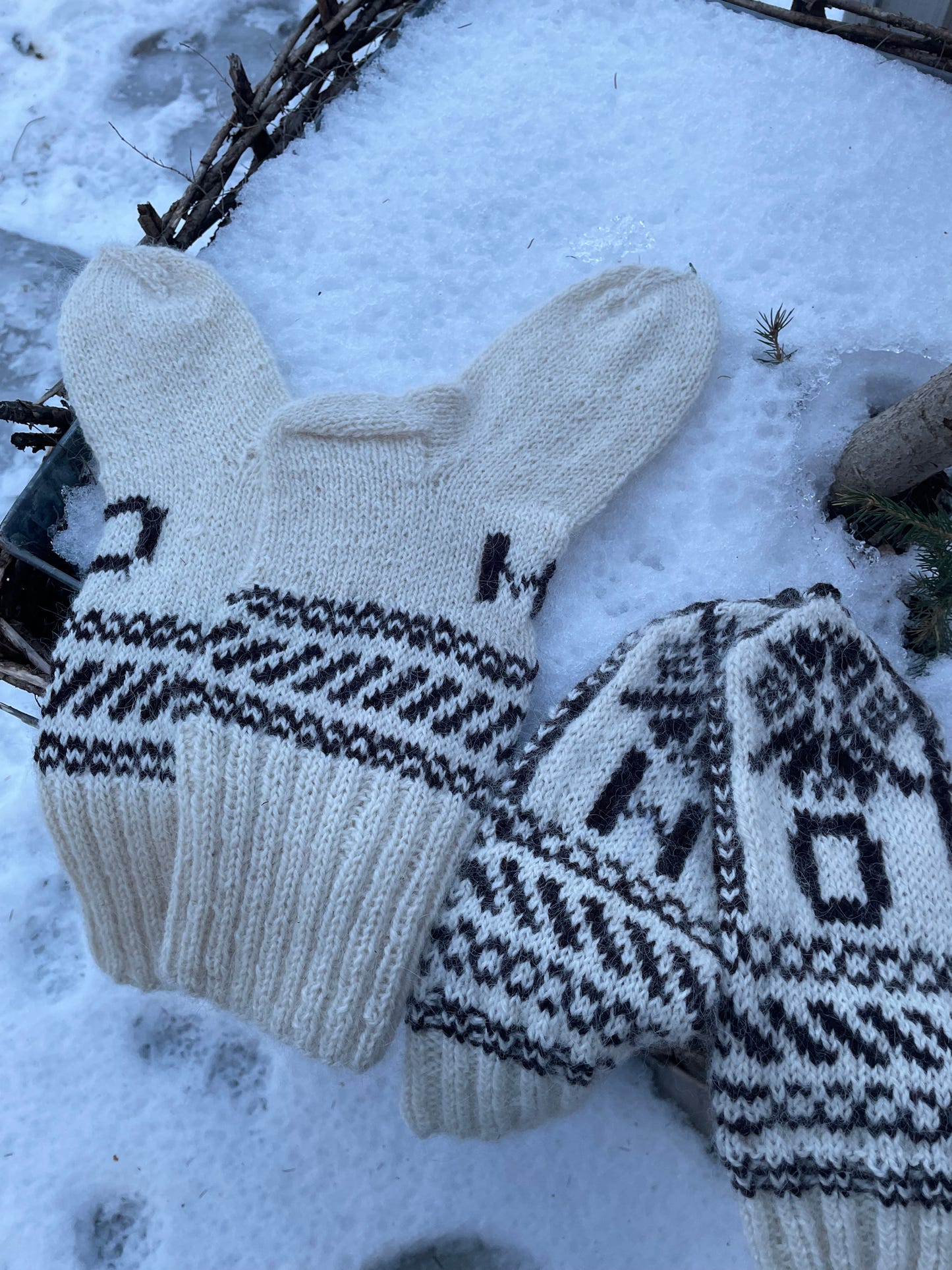 Skistar - The Mitten