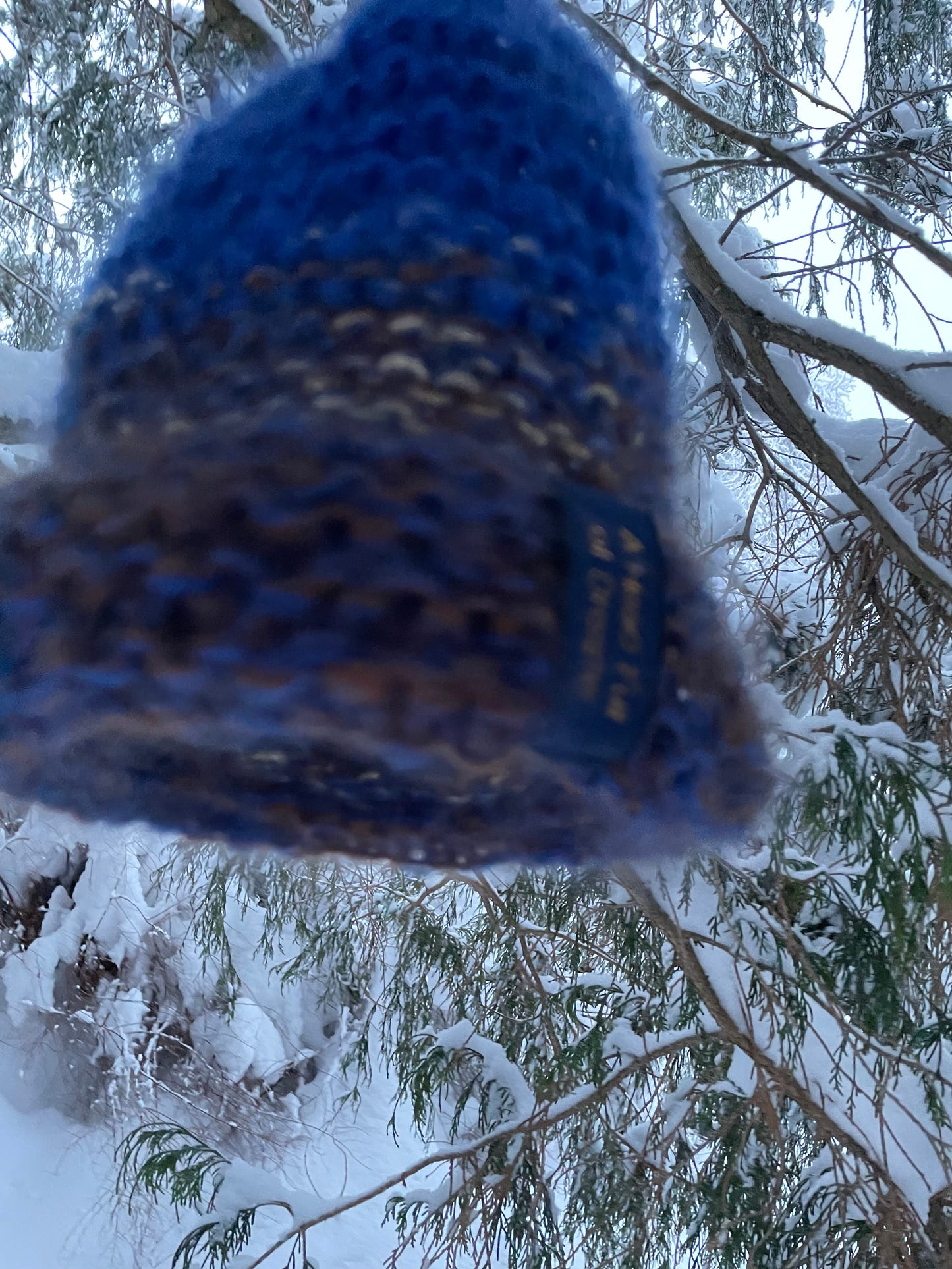 Blue - The Beanie
