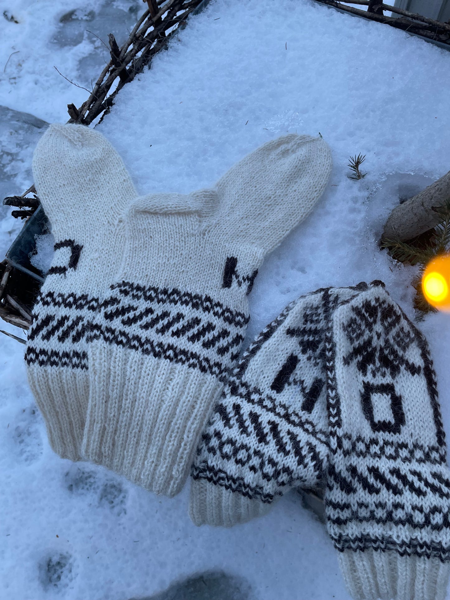 Skistar - The Mitten