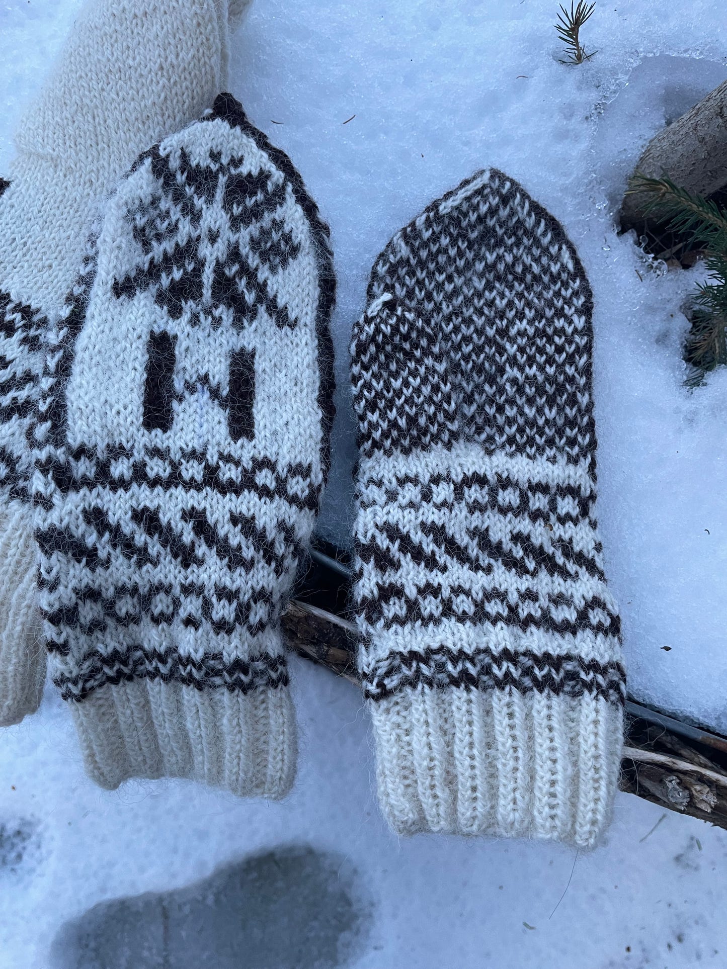 Skistar - The Mitten