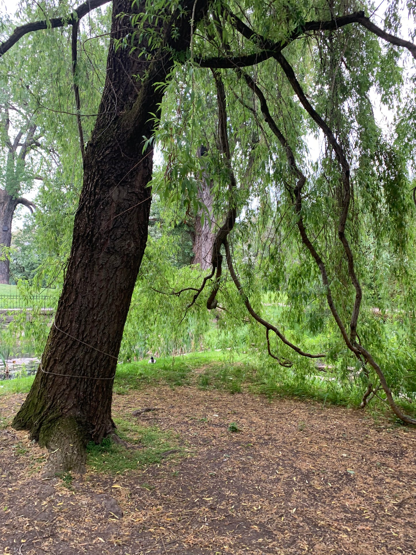 Summer in Oslo - Knitting pattern