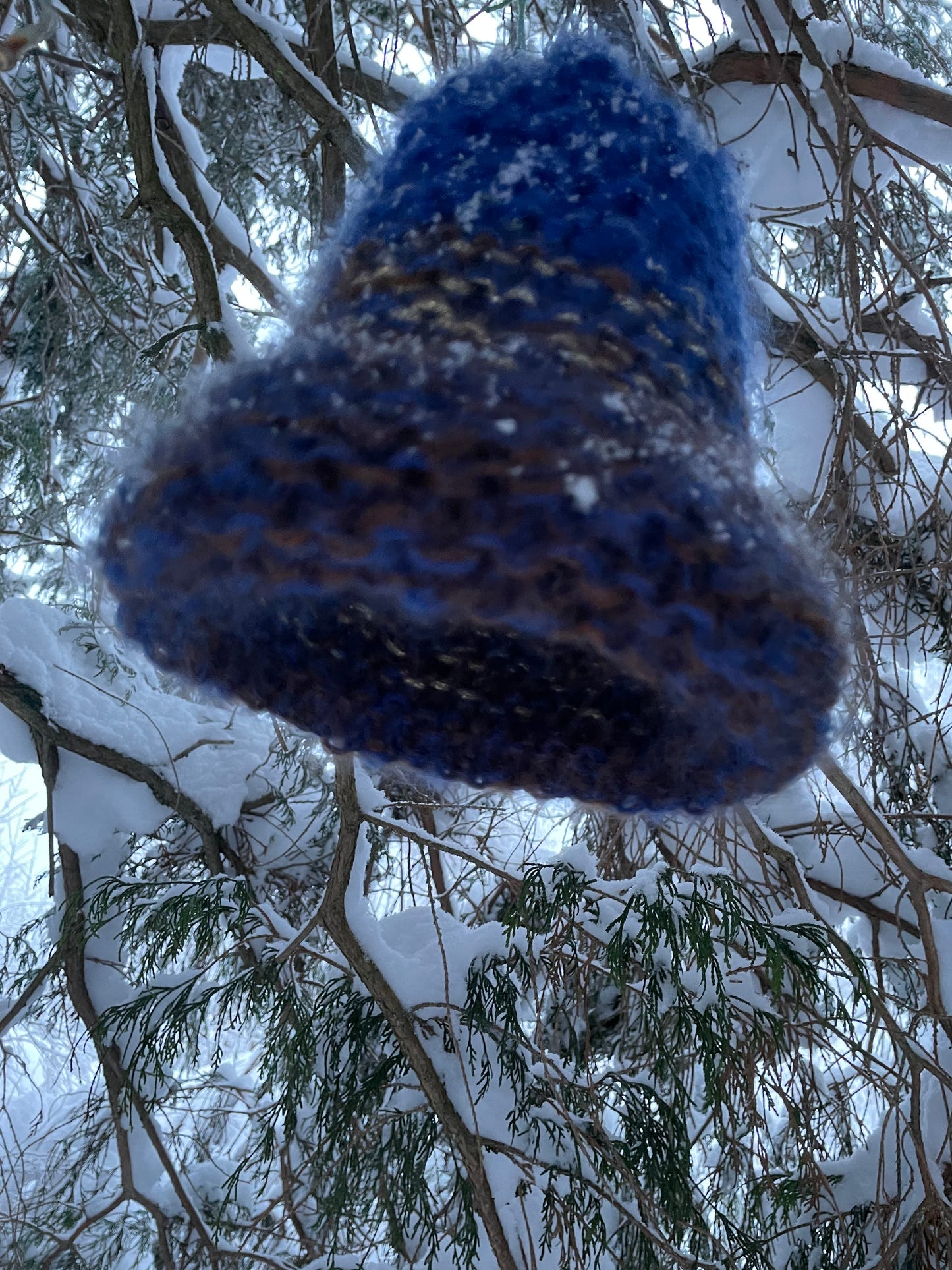 Blue - The Beanie