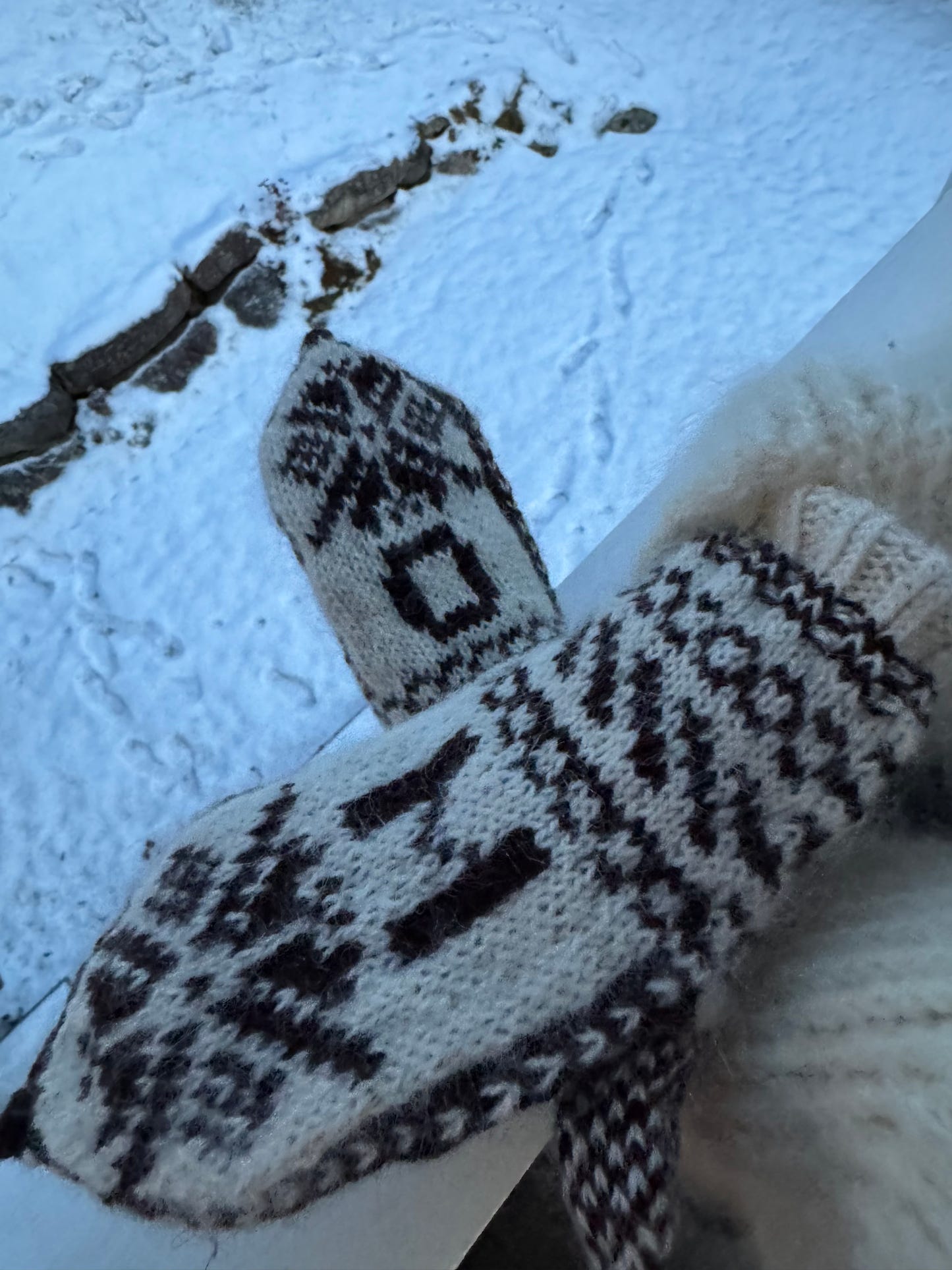 Skistar - The Mitten