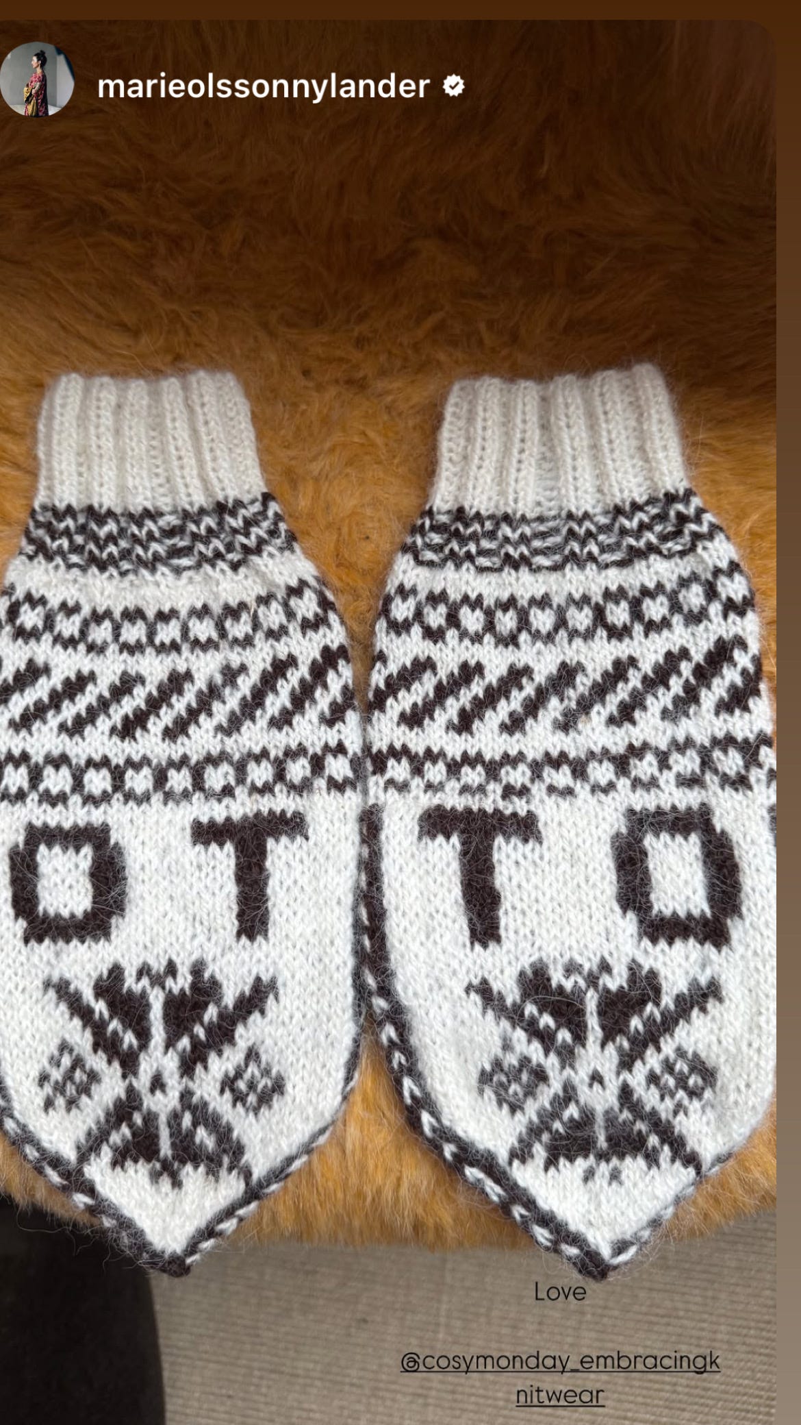 Skistar - The Mitten