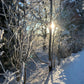 ALWAYS IN MY HEAD - Winterlovers - strikkeoppskrift